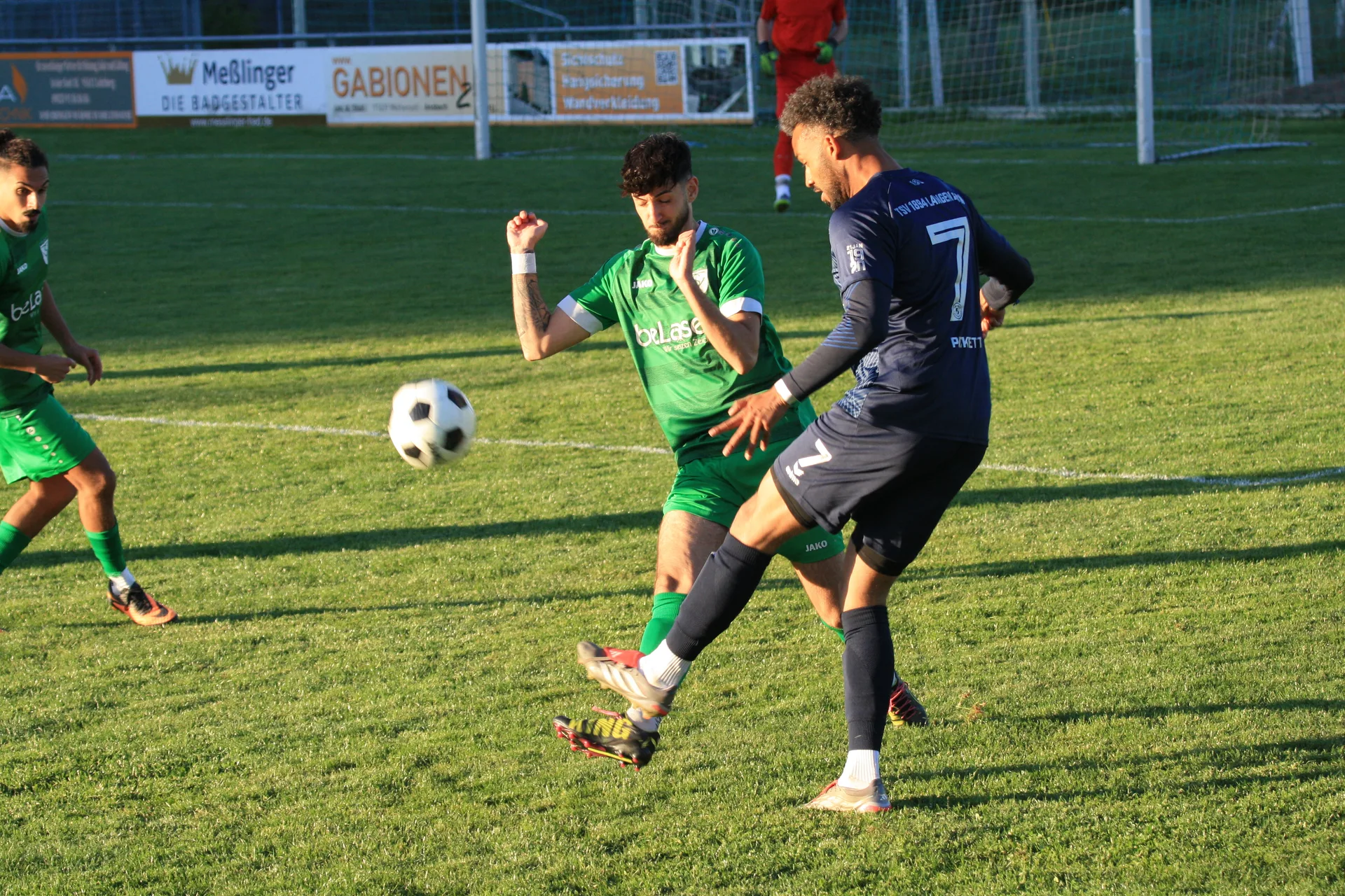 Bild 19