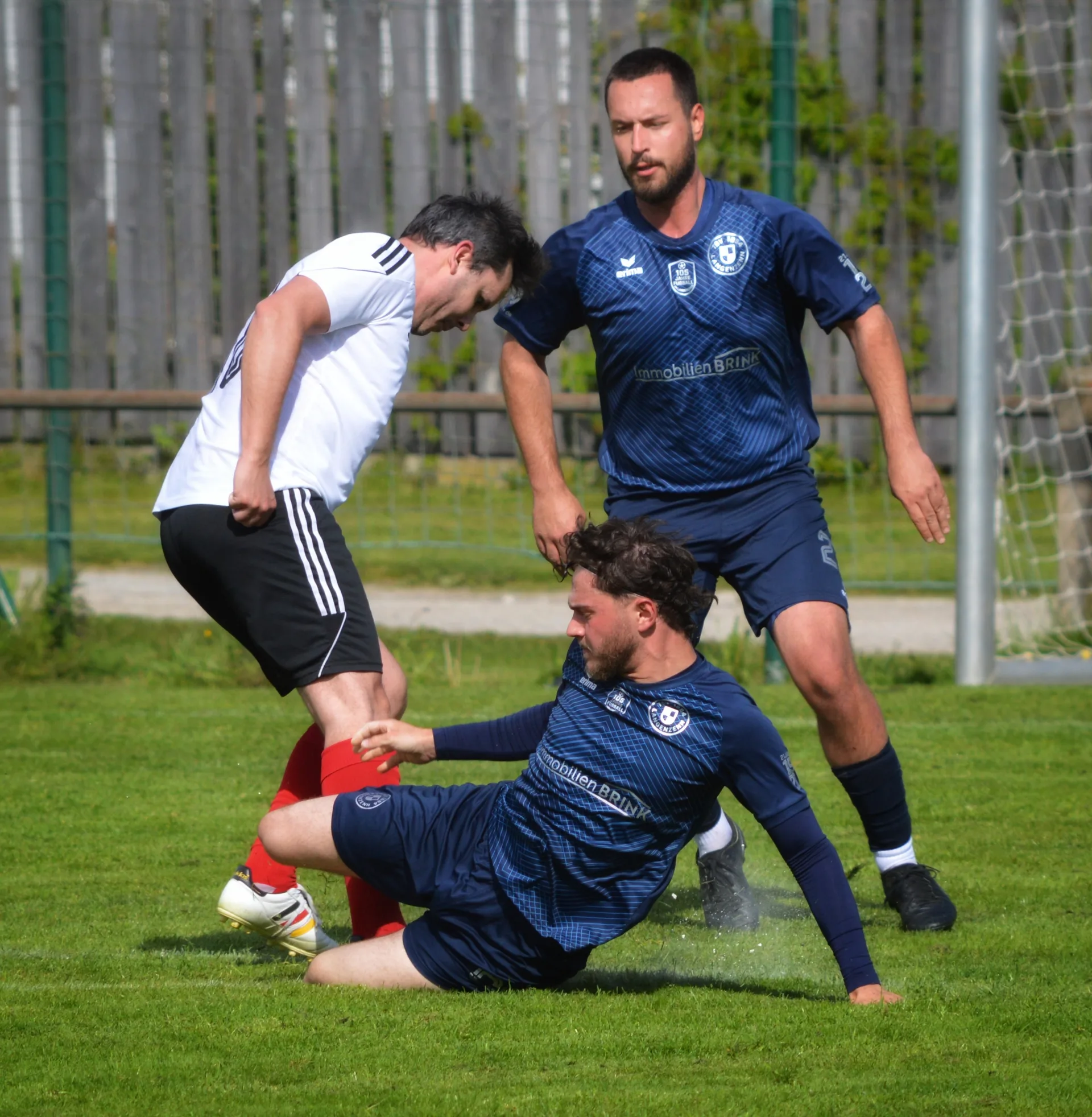 Bild 11