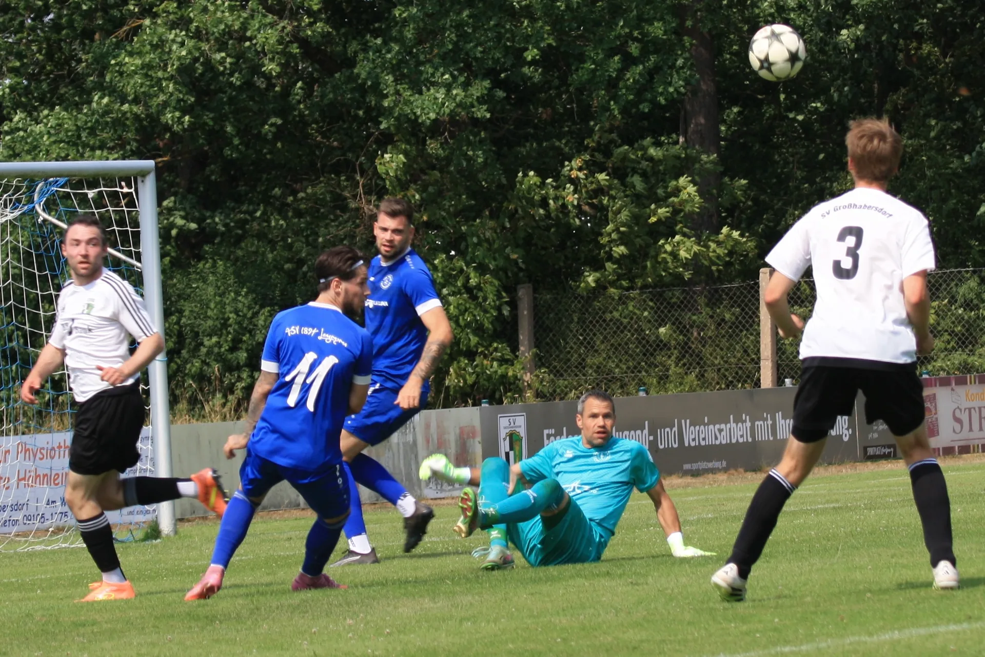 Bild 12