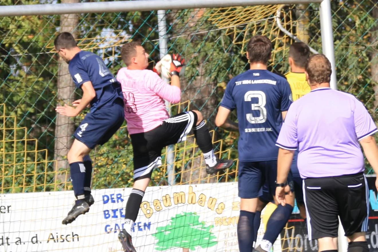 News Bild
